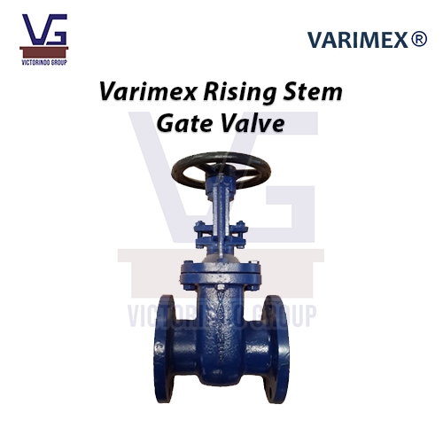 Varimex Rising Stem Gate Valve